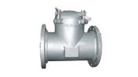 Model 91 T Type 2 to 48 inch Basket Strainer